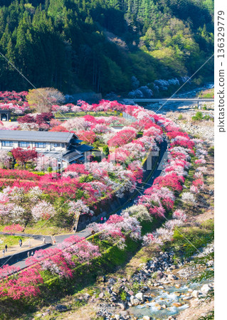 Hanamo no Sato Hanamo no Sato 136329779