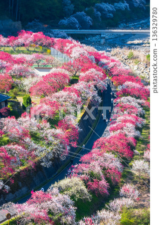 Hanamo no Sato Hanamo no Sato 136329780