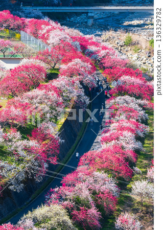 Hanamo no Sato 136329782