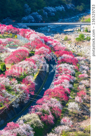 Hanamo no Sato 136329783