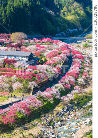 Hanamo no Sato Hanamo no Sato 136329796