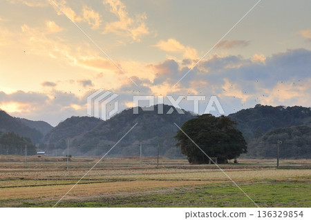 Evening view of Obara Shrine 4 Evening view of Obara Shrine 4 136329854
