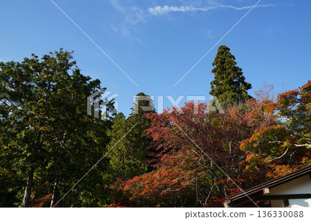 Scenery of the maple trees turning red in the grounds of Takao Jingoji Temple in Kyoto 136330088