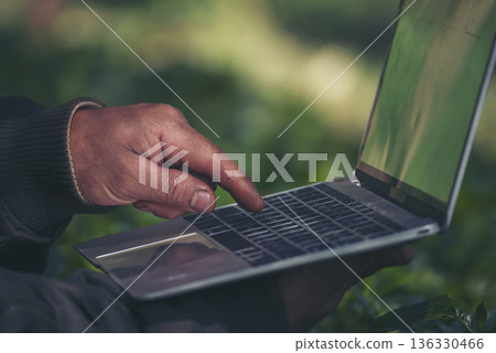 Smart farmer using laptop in eco green farm sustainable quality control. Close up Hand typing laptop computer quality control plant tree. Farmer hands using technology in eco Farmland biotechnology 136330466