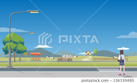 Flat vector illustration of a woman standing by a roadside in a peaceful countryside. Featuring a bus stop a passing car grazing cows and distant. House on the hills. Mountains under a clear blue sky. Flat vector illustration of a woman standing by a roadside in a peaceful countryside. Featuring a bus stop a passing car grazing cows and distant. House on the hills. Mountains under a clear blue sky. 136330480