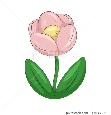 Illustration of tulip Illustration of tulip 136331068