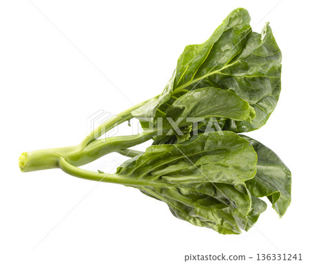 chinese broccoli isolent on a white background 136331241