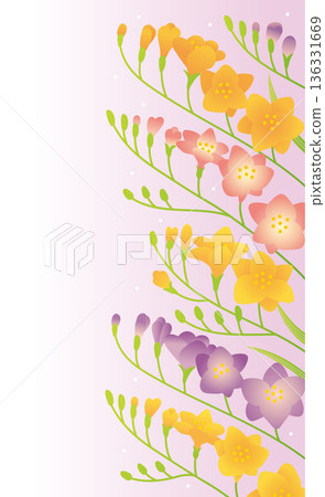 小蒼蘭背景設計邊框（彩色） 136331669