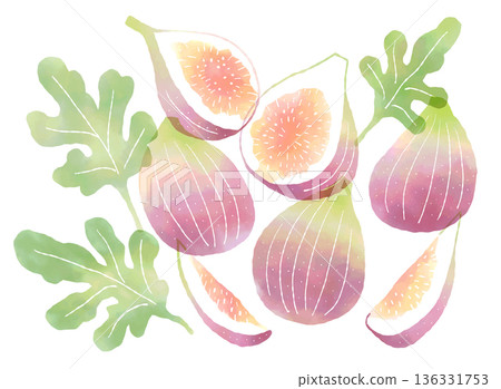 水彩風格的新鮮無花果插圖 水彩風格的新鮮無花果插圖 136331753
