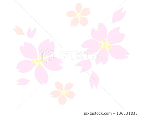 A gentle illustration of pale pink and beige cherry blossoms and petals 136331833