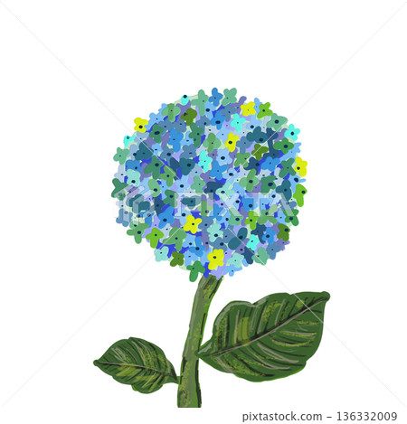 手繪繡球花插圖,採用油畫風格 手繪繡球花插圖,採用油畫風格 136332009