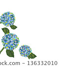 手繪油畫風格的三朵繡球花插圖 手繪油畫風格的三朵繡球花插圖 136332010