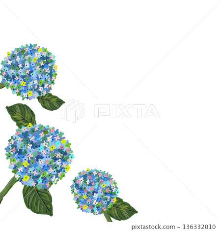 手繪油畫風格的三朵繡球花插圖 手繪油畫風格的三朵繡球花插圖 136332010