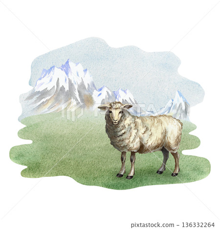 A sheep in a mountain landscape. Hand-drawn watercolor illustration. Perfect for creating backgrounds, banners, posters, packaging designs, labels, and more. 136332264