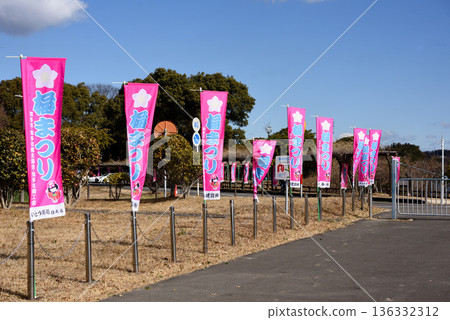 赤塔市薩富裡梅花節 赤塔市薩富裡梅花節 136332312