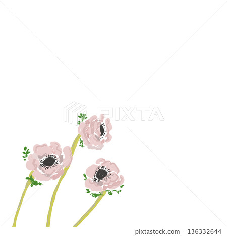 水彩風格手繪插畫邊角素材:粉紅銀蓮花三重奏 水彩風格手繪插畫邊角素材:粉紅銀蓮花三重奏 136332644