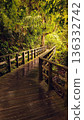 Wooden Boardwalk through Borneo Jungle at Sunset 136332742
