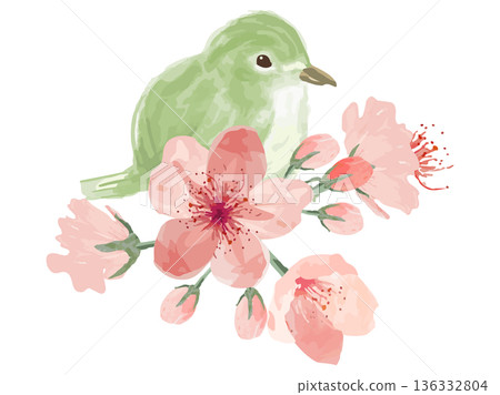 Cherry blossom and Japanese bush warbler arrangement Cherry blossom and Japanese bush warbler arrangement 136332804