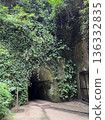 A quiet tunnel path surrounded by greenery 136332835
