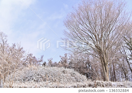 Snow-covered Koshishogunzuka Tomb 136332884