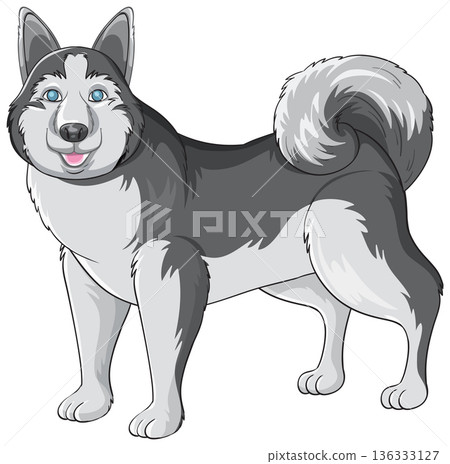 Siberian Husky Dog Vector Illustration Standing on White Background 136333127