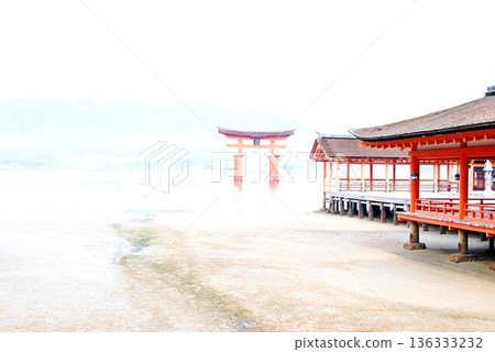 【世界遺產】從嚴島神社眺望大鳥居 【世界遺產】從嚴島神社眺望大鳥居 136333232