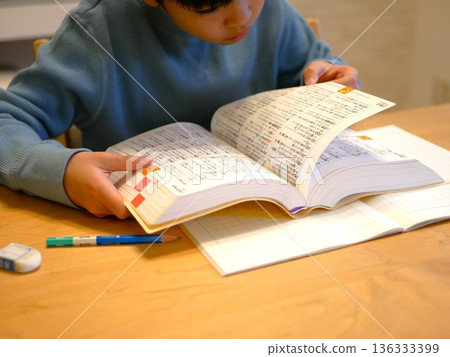 Elementary school students studying using a dictionary 136333399