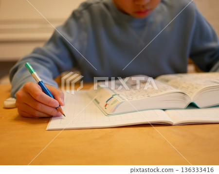 Elementary school students studying using a dictionary Elementary school students studying using a dictionary 136333416