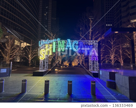 Shinagawa illuminations 136333469