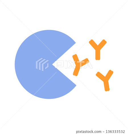 Lymphocytes that produce IgE antibodies to eliminate allergens 136333532