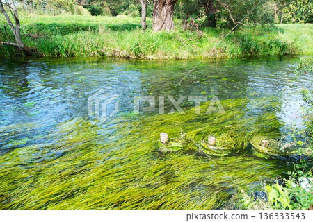 Crystal clear river 136333543
