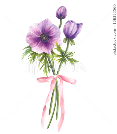 Purple anemones flowers bouquet with green leaves and a soft pink ribbon bow. Watercolor elegant illustration isolated from background for greeting cards, weddings, birthdays, Mother's, Women's Day. Purple anemones flowers bouquet with green leaves and a soft pink ribbon bow. Watercolor elegant illustration isolated from background for greeting cards, weddings, birthdays, Mother's, Women's Day. 136333560