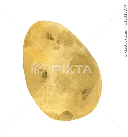 Potato (single item) Hand-drawn watercolor illustration of vegetables Potato (single item) Hand-drawn watercolor illustration of vegetables 136333774