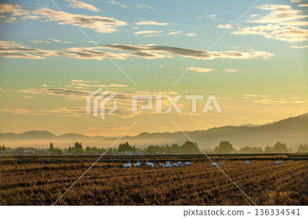 Sunset Sunset 136334541