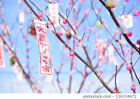 大館Amekko市秋田節 大館Amekko市秋田節 136334672