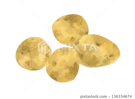 馬鈴薯套裝 - 手繪水彩蔬菜插圖 136334674