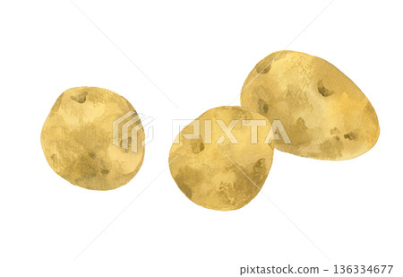 馬鈴薯套裝 - 手繪水彩蔬菜插圖 136334677