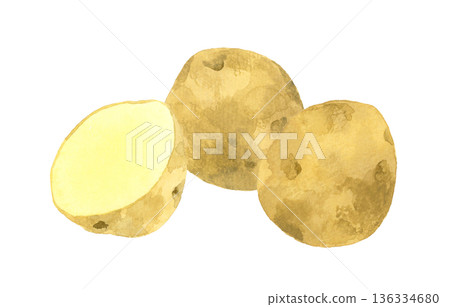 馬鈴薯套裝 - 手繪水彩蔬菜插圖 馬鈴薯套裝 - 手繪水彩蔬菜插圖 136334680