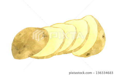 Cut potatoes (sliced/round slices) Hand-drawn watercolor illustration of vegetables Cut potatoes (sliced/round slices) Hand-drawn watercolor illustration of vegetables 136334683