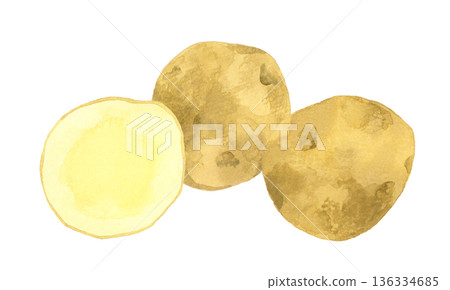 Potato set - Hand-drawn watercolor illustration of vegetables 136334685