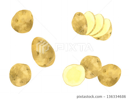 Potato set - Hand-drawn watercolor illustration of vegetables 136334686