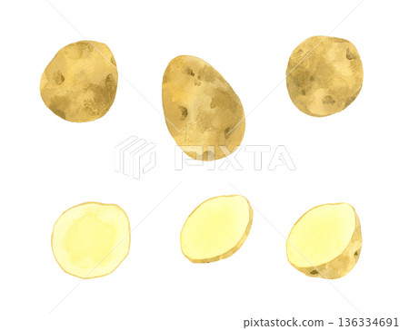 馬鈴薯套裝 - 手繪水彩蔬菜插圖 馬鈴薯套裝 - 手繪水彩蔬菜插圖 136334691