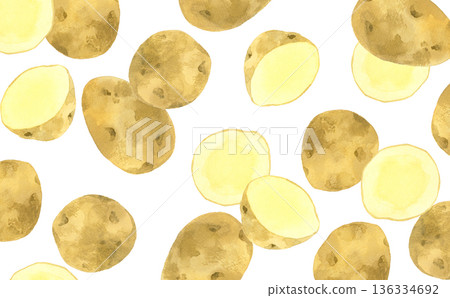 Fresh potato background hand-drawn watercolor illustration 136334692