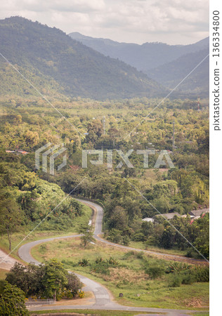 A winding road snakes through a lush, mountainous terrain, carving a path through a tapestry of verdant foliage. The rolling hills stretch toward the horizon under a soft sky. 136334800