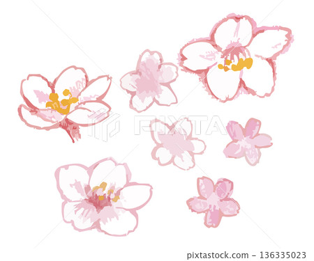 櫻花插圖。向量圖素材。 櫻花插圖。向量圖素材。 136335023