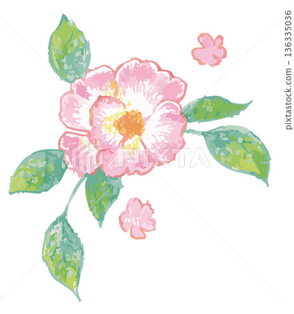 Pink rose illustration. Vector illustration material. 136335036