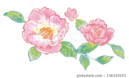 Pink rose illustration. Vector illustration material. 136335055