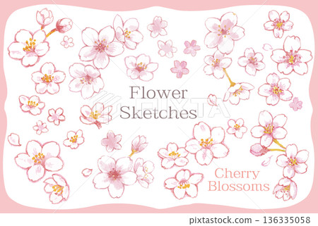 Cherry blossom illustration set. Vector illustration. Cherry blossom illustration set. Vector illustration. 136335058