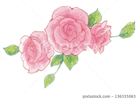Rose illustration material. Vector illustration material 136335063
