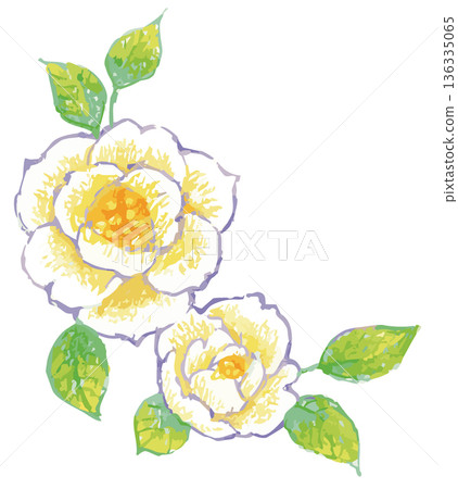 Rose illustration material. Vector illustration material 136335065